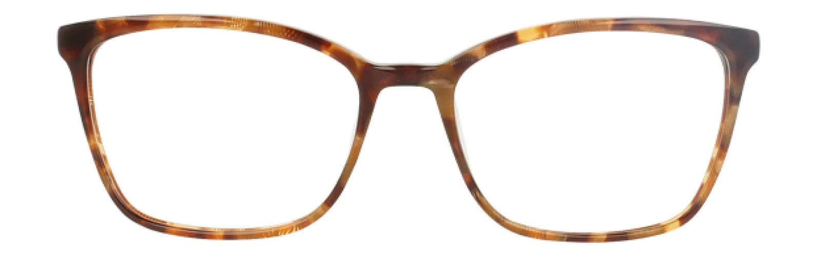 Jenny Lynn JLREMARKABLE Eyeglasses - view 8